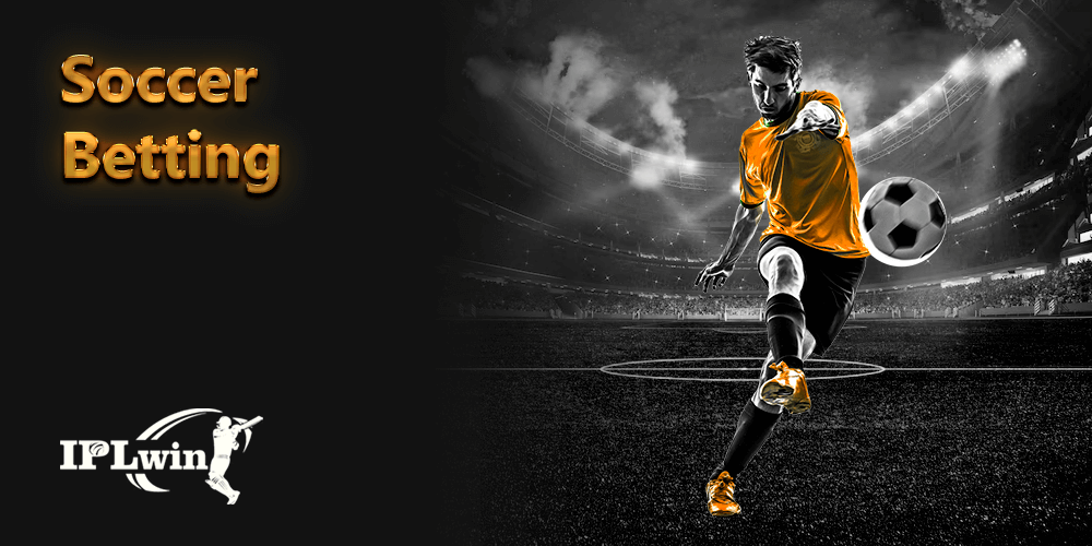 fansbet